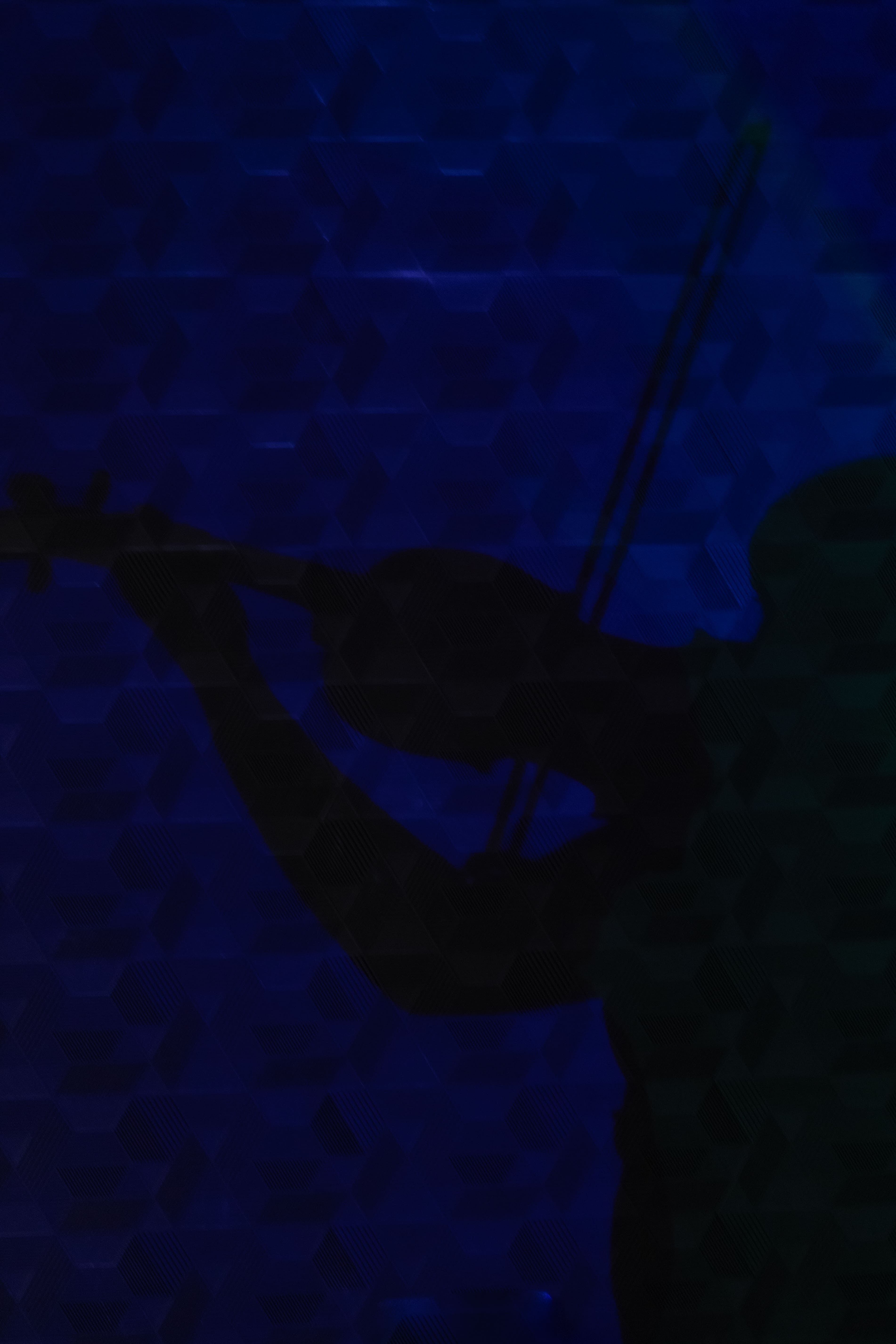 Sombras com a viola de arco 2